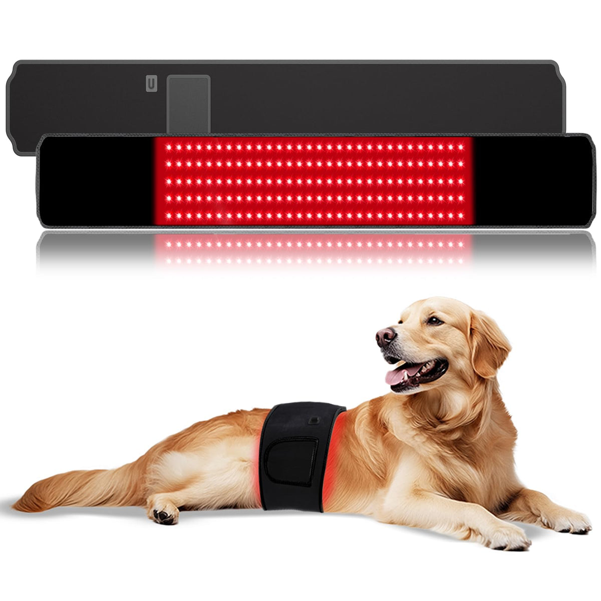ZAEXAE red light therapy belt for dogs in use promoting relaxation and comfort.