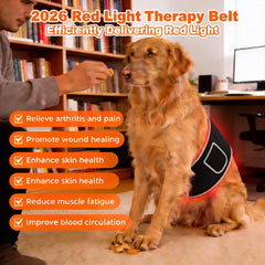 ZAEXAE red light therapy belt timer function ensures safe, scheduled sessions.