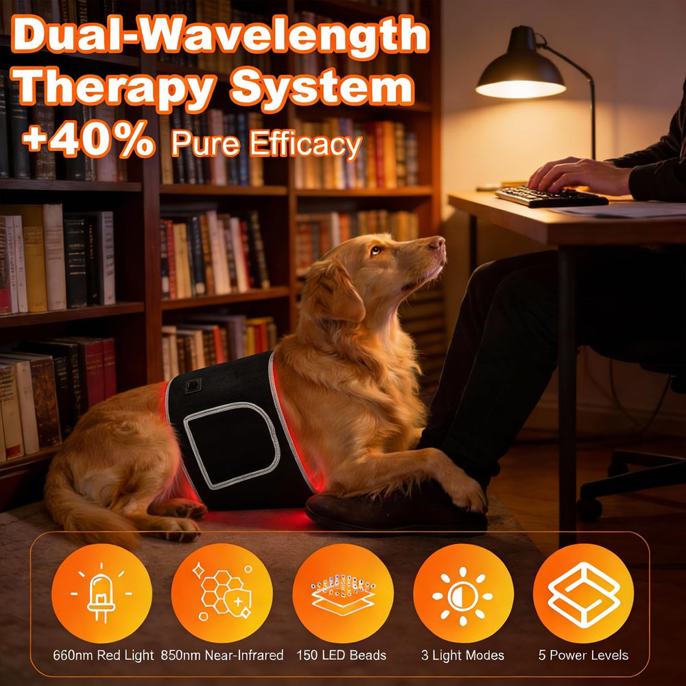 ZAEXAE red light therapy belt TPU protective cover protects the LED area.