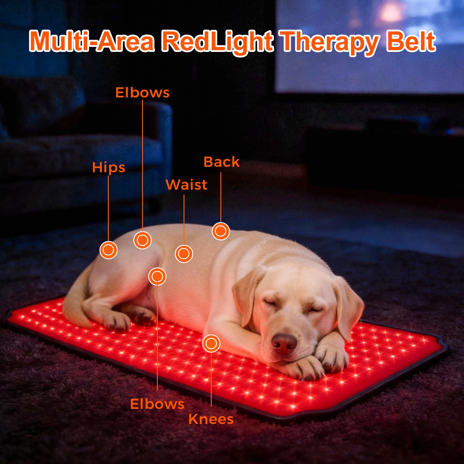 ZAEXAE red light therapy pad targets dog knee with gentle warmth