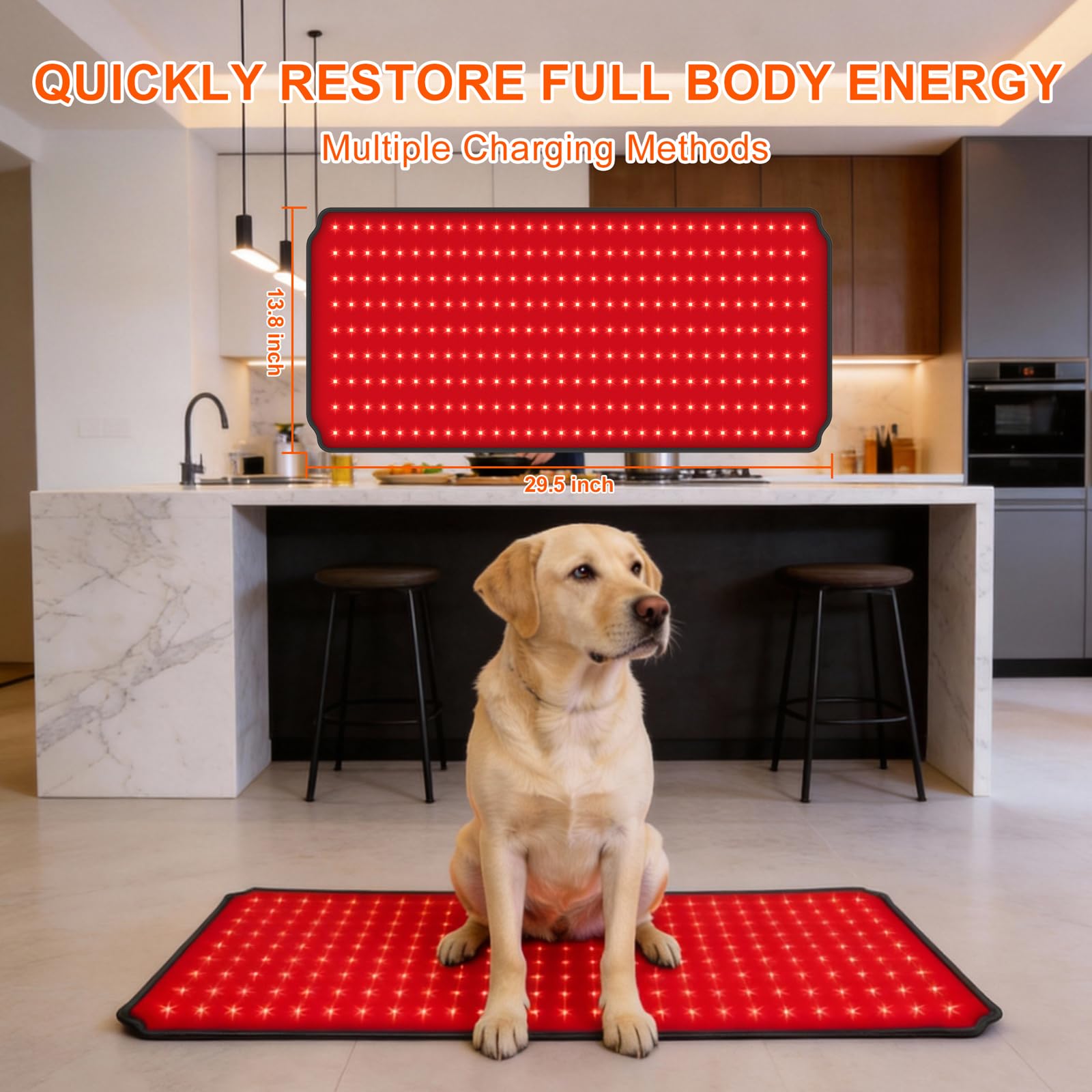 ZAEXAE red light therapy pad supports dog thigh comfort during use