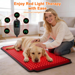 ZAEXAE universal gift-ready design for pets and humans alike.