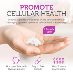 Zahler women's health visual suggesting hormone balance support.