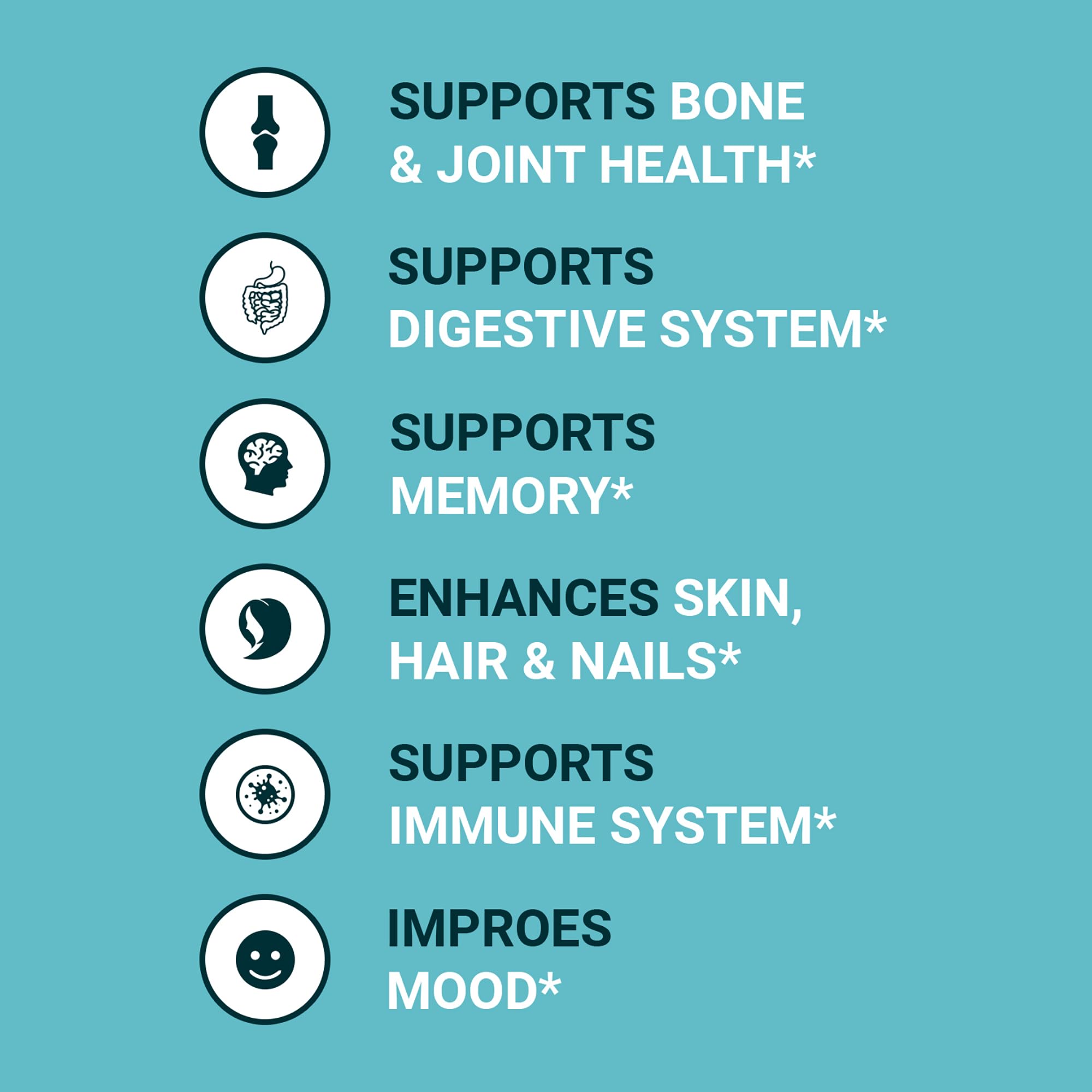 Zammex bone broth powder in shaker for quick mixes