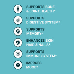 Zammex bone broth powder in shaker for quick mixes