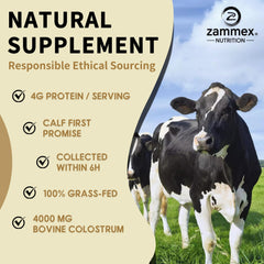 Zammex bovine colostrum powder pour image suggests simple stir-in use.
