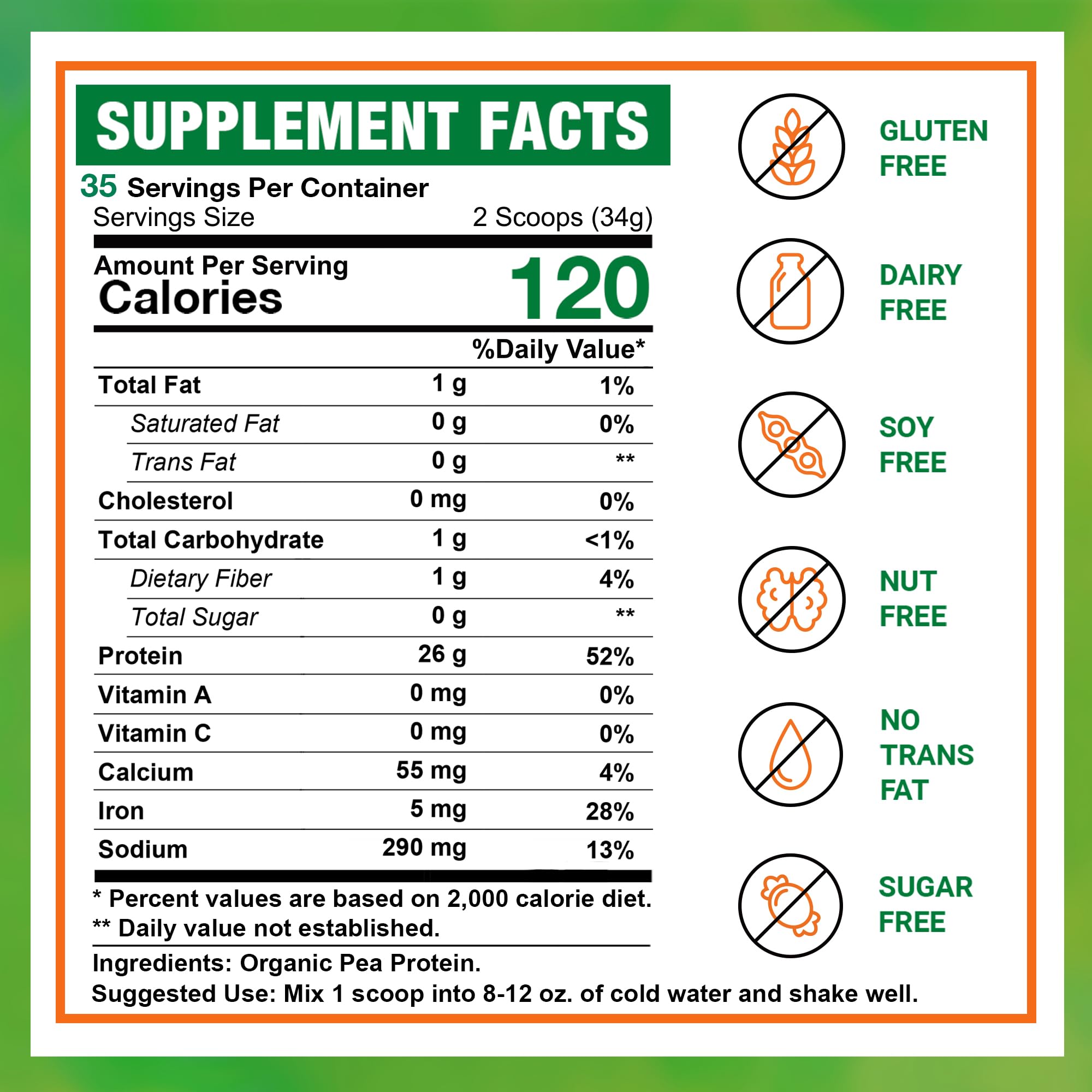 Zammex Organic Pea Protein Powder texture close-up indicating smooth mixability