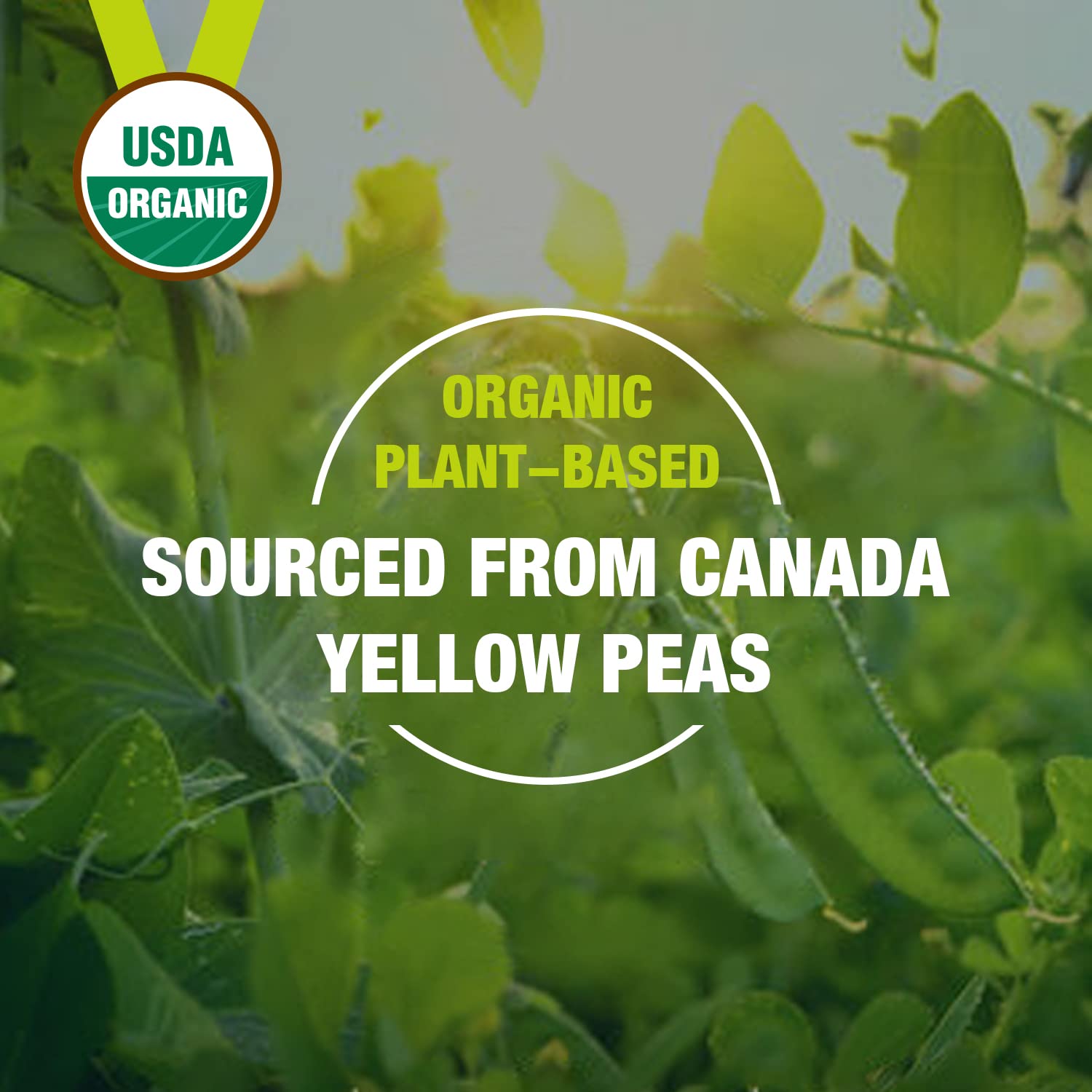 Zammex Organic Pea Protein Powder vegan badge and clean label