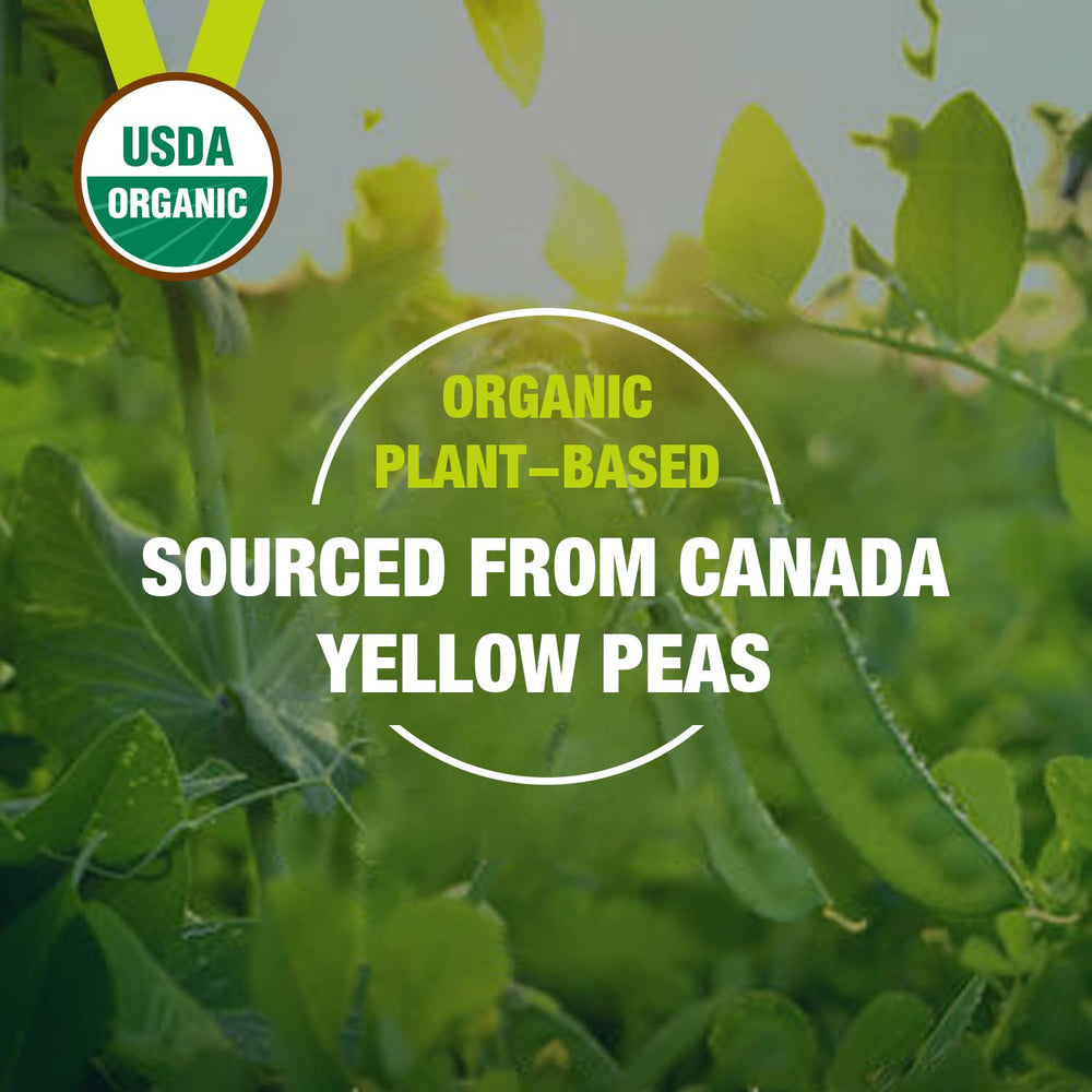 Zammex Organic Pea Protein Powder vegan badge and clean label