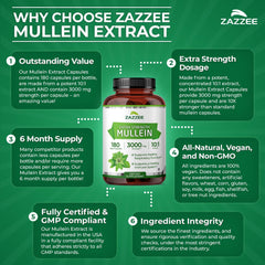 Zazzee Supplement capsules arranged for lifestyle shot.