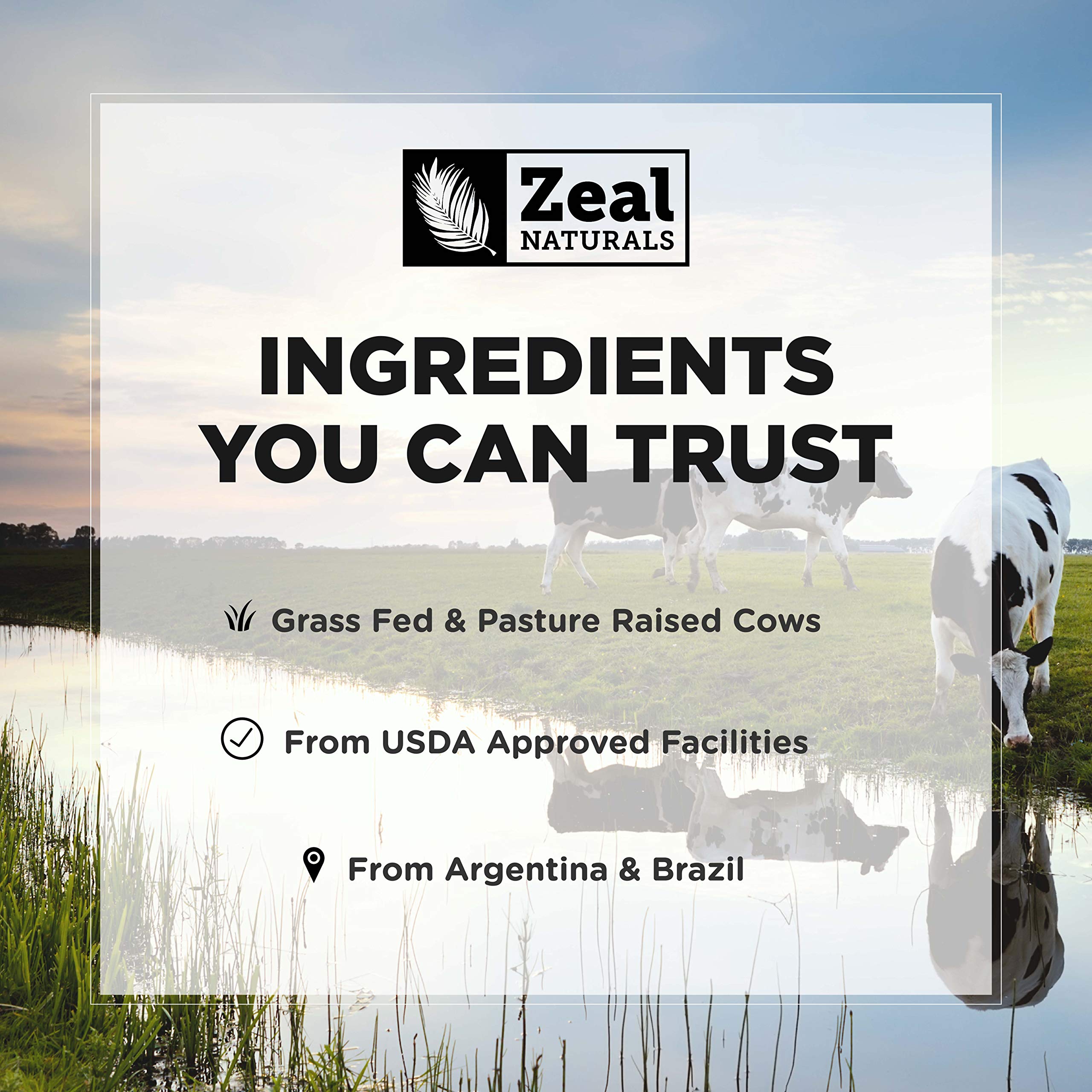 Ingredients panel on Zeal Naturals Collagen Peptides bottle featuring hydrolyzed bovine collagen
