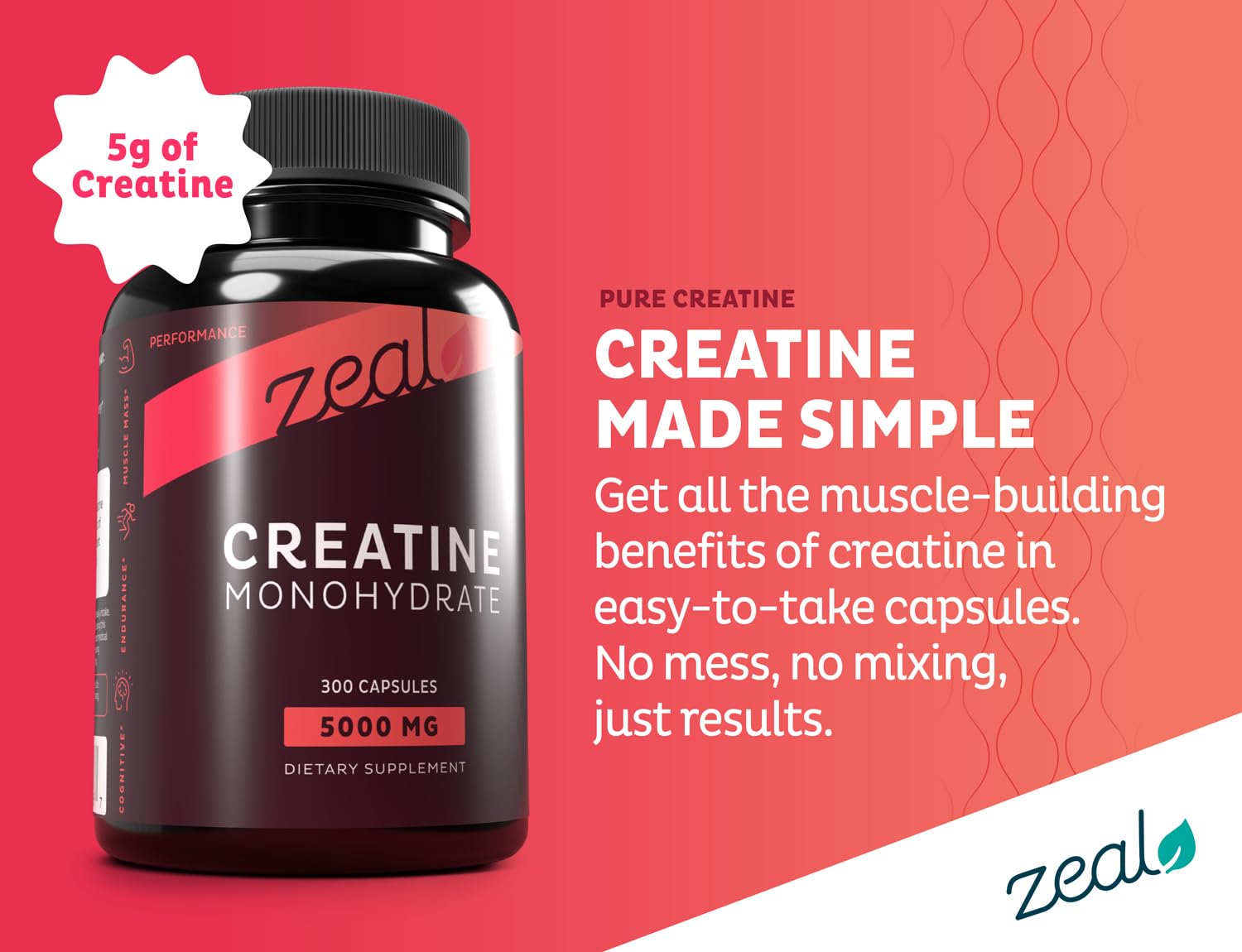 Zeal Naturals Creatine Monohydrate dosing scoop enabling precise daily servings.