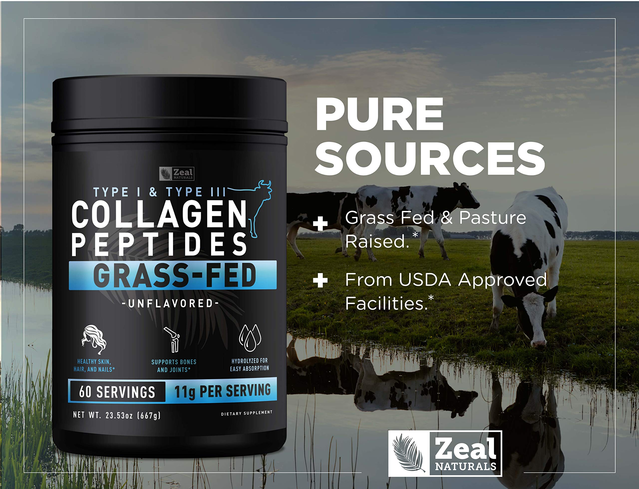 Zeal Naturals multi-collagen types infographic highlight collagen types 1, 2, 3, 5, 10.
