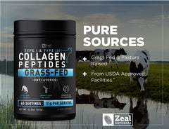Zeal Naturals multi-collagen types infographic highlight collagen types 1, 2, 3, 5, 10.