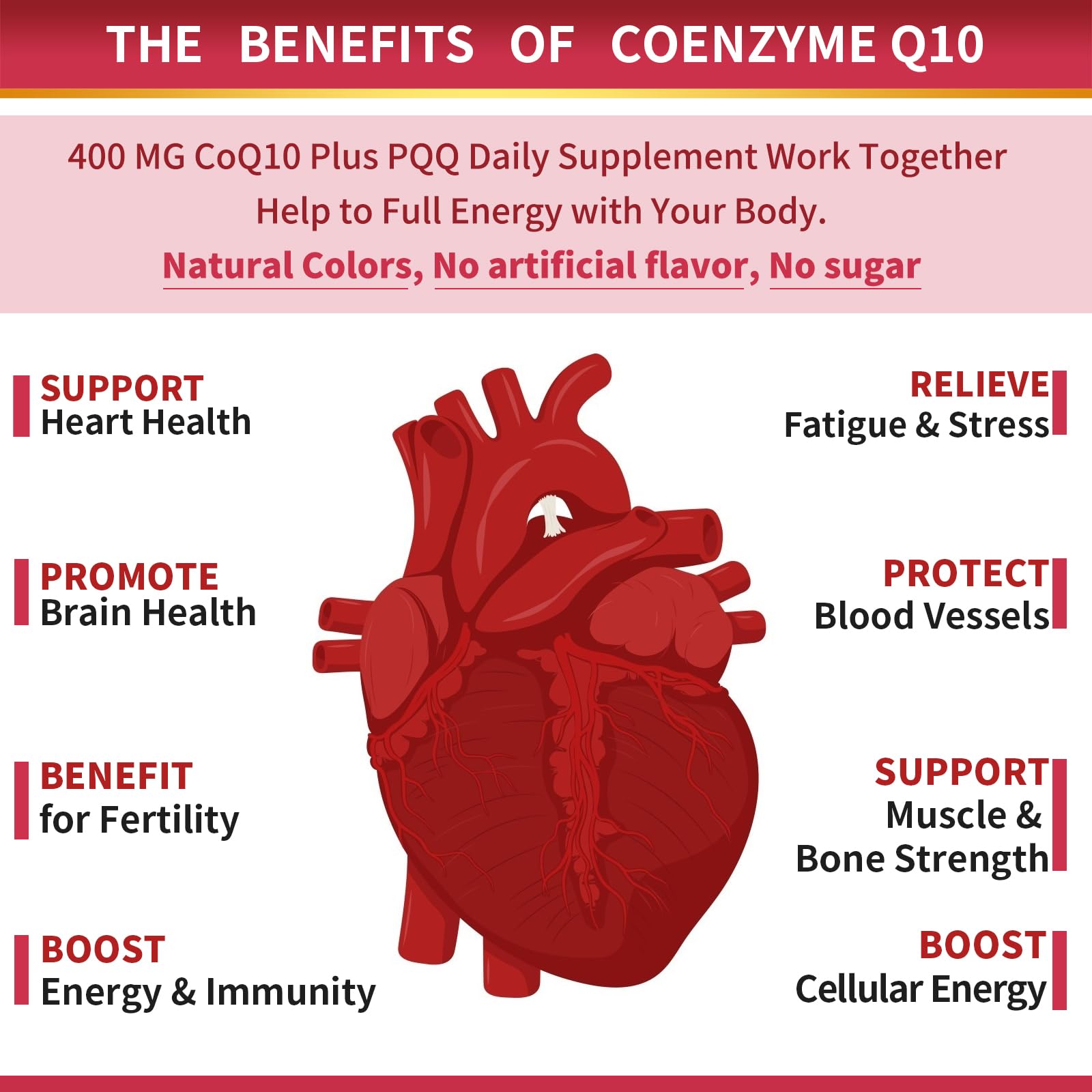 ZEBORA CoQ10 bottle with omega-3 and black pepper for absorption