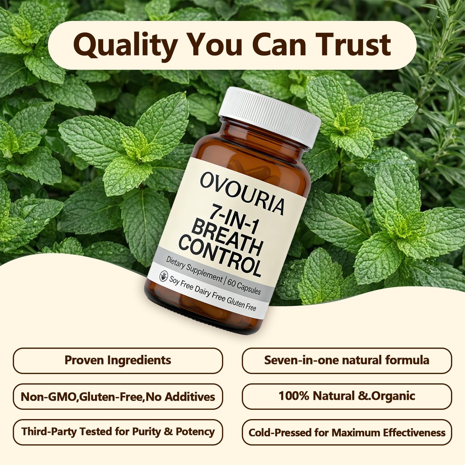 Zefdvc Ovouria capsules pack for easy daily wellness ritual