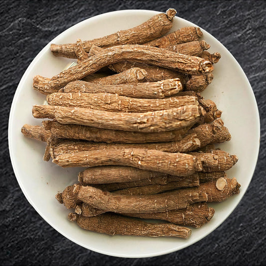 Zen Ginseng small long root showing a compact shape suited for quick prep and focus.