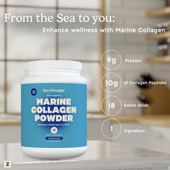 Unflavored Zen Principle collagen powder ready to mix into drinks.