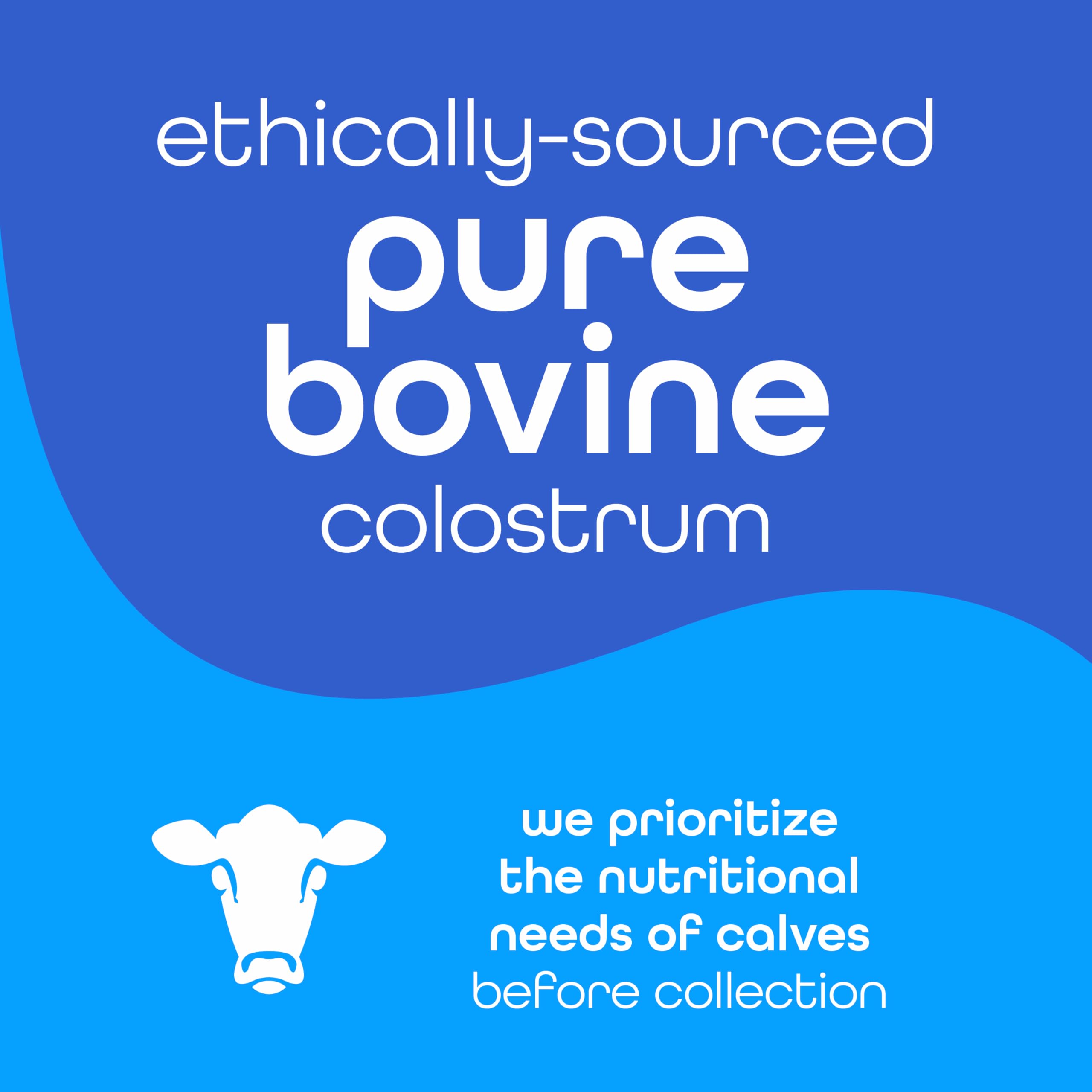 Zena Nutrition Colostrum Powder pouring into glass for easy, keto-friendly use