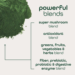 Zena Nutrition Mango flavor stick pack for tropical-style greens without added sugar