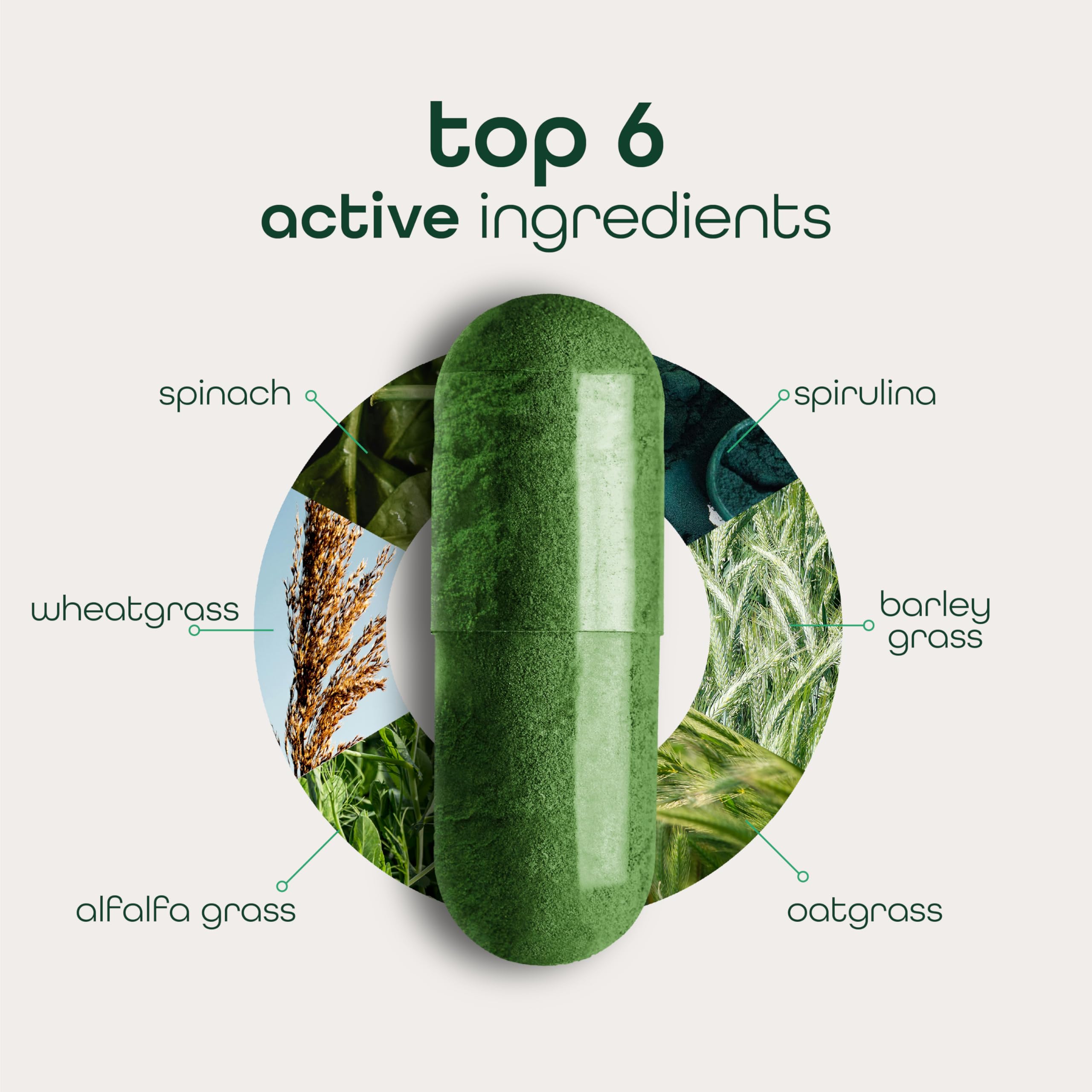 Zena Nutrition Organic Super Greens capsules on-the-go for busy lifestyles.
