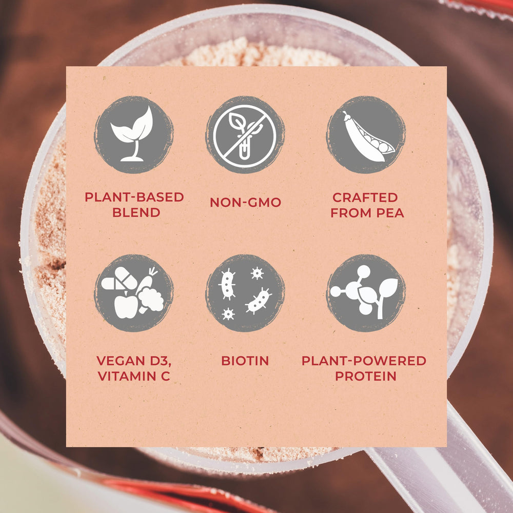 Zenbodi Fuel Mint Chocolate vegan D3 and vitamin boost