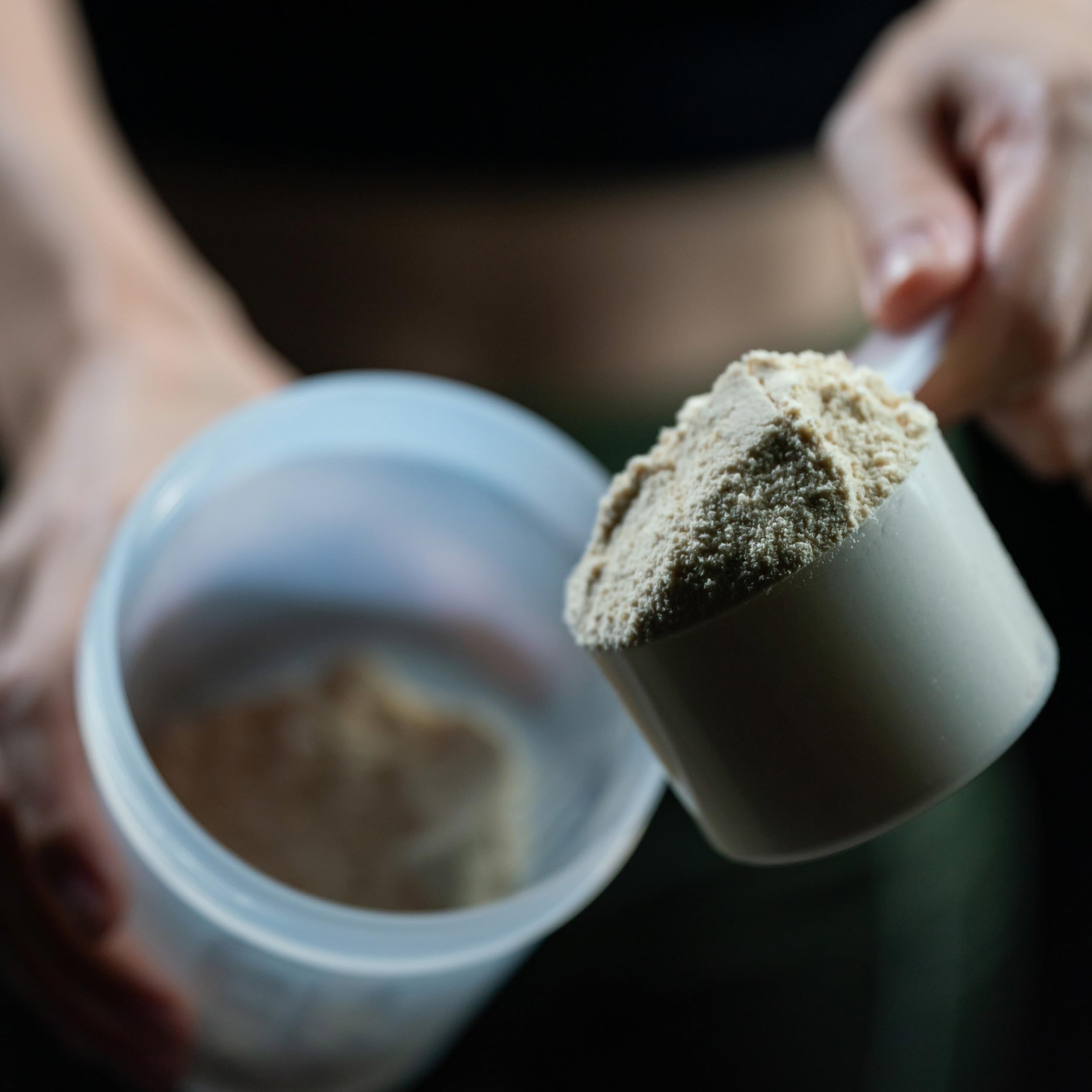 Zenbodi Fuel vegan protein with D3 supports daily wellness
