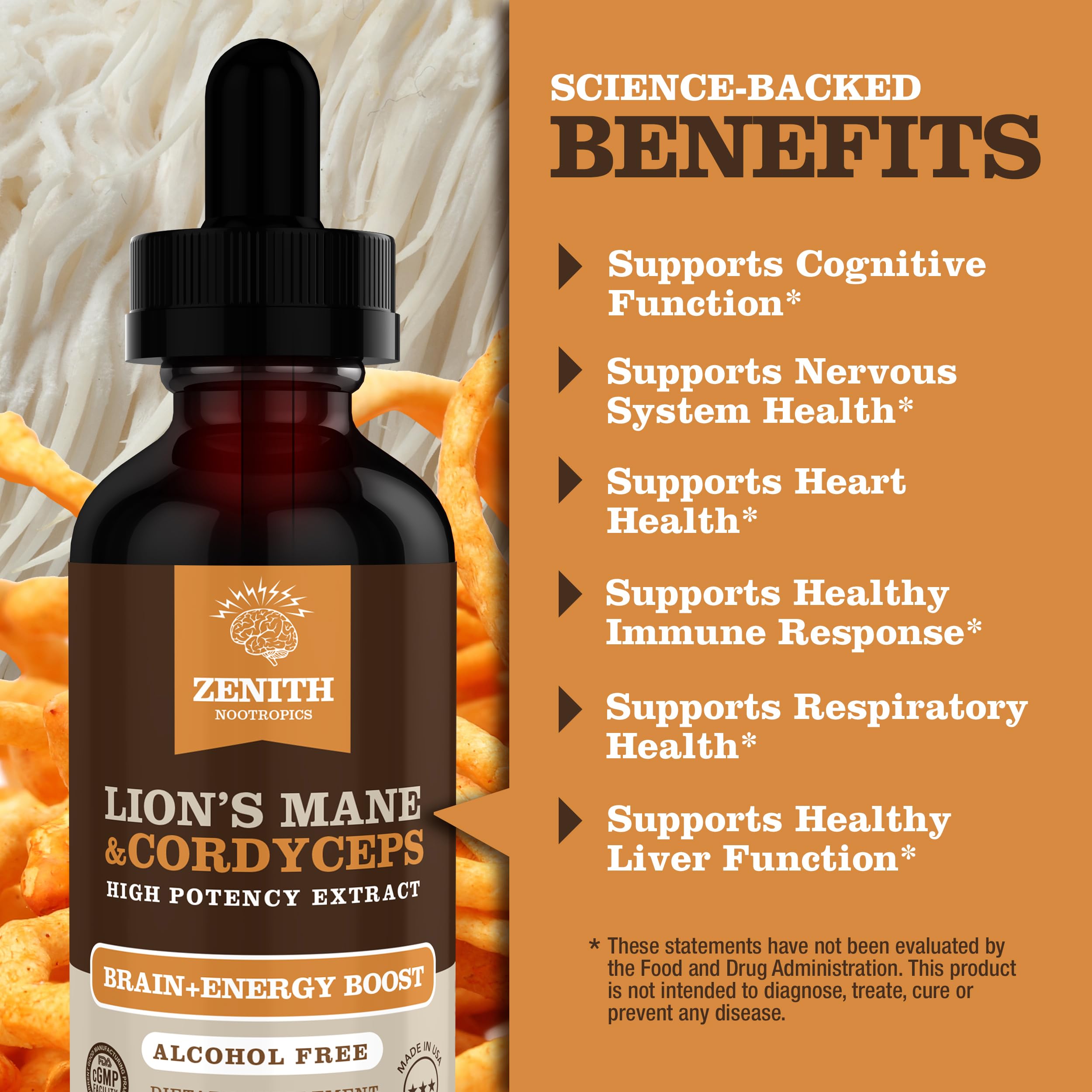 Zenith Nootropics Lions Mane Cordyceps professionals at work for steady focus