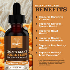 Zenith Nootropics Lions Mane Cordyceps professionals at work for steady focus