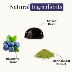 ZENITH RITUAL Shilajit Gummies close-up of blueberry chew for easy daily intake.