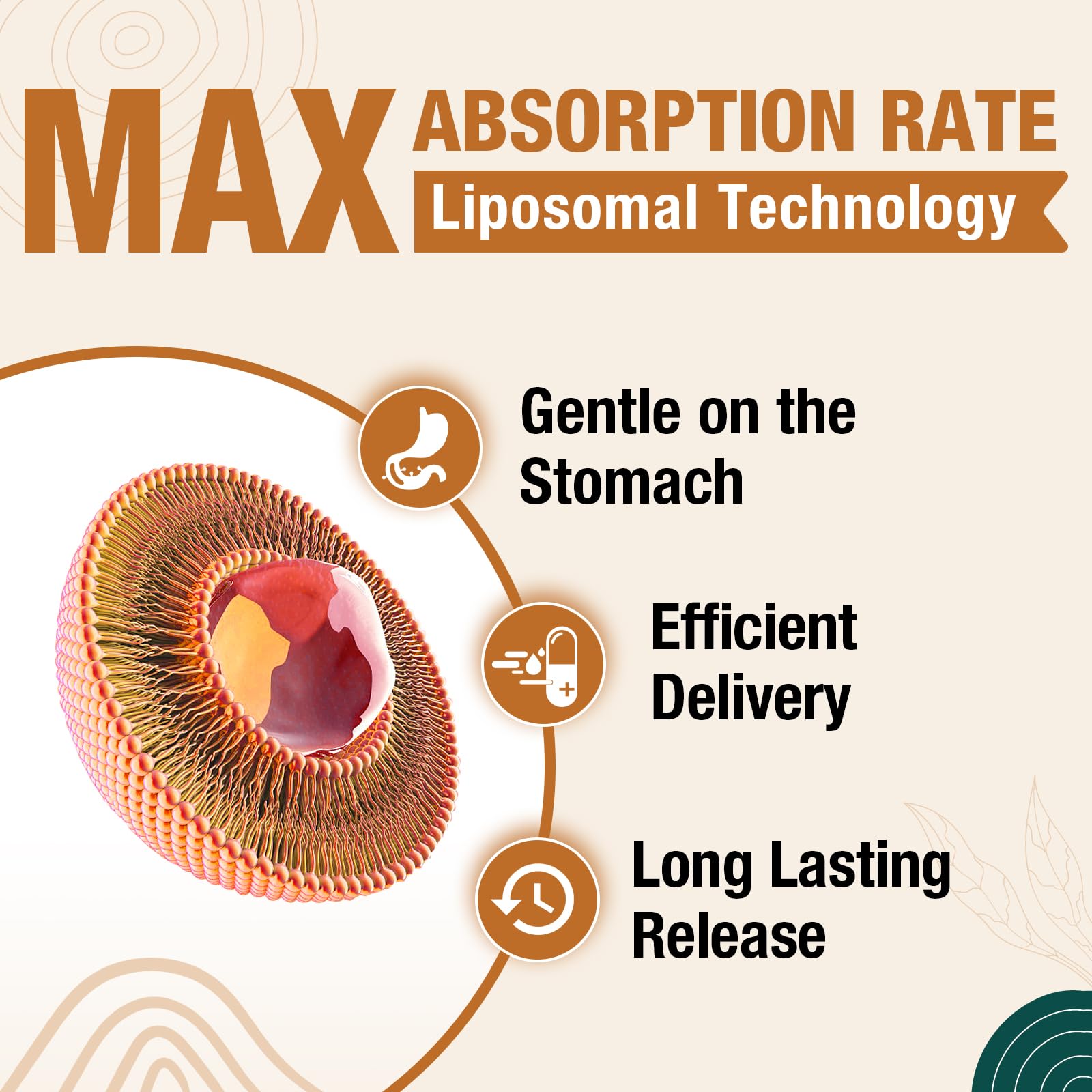 ZenixZephir plasmalogen capsule with glossy coating indicating premium cognitive support.