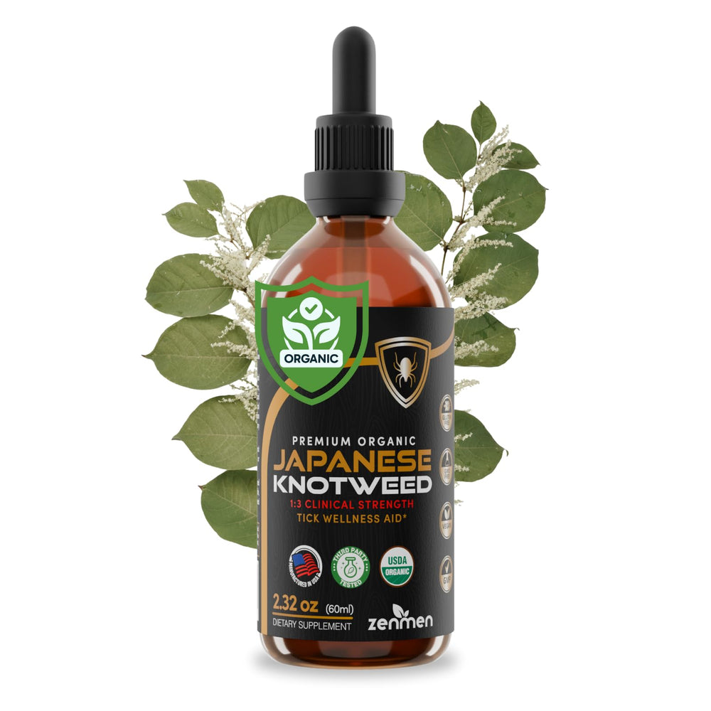 Zenmen Japanese Knotweed tincture bottle 60ml for easy daily dosing and immune support.