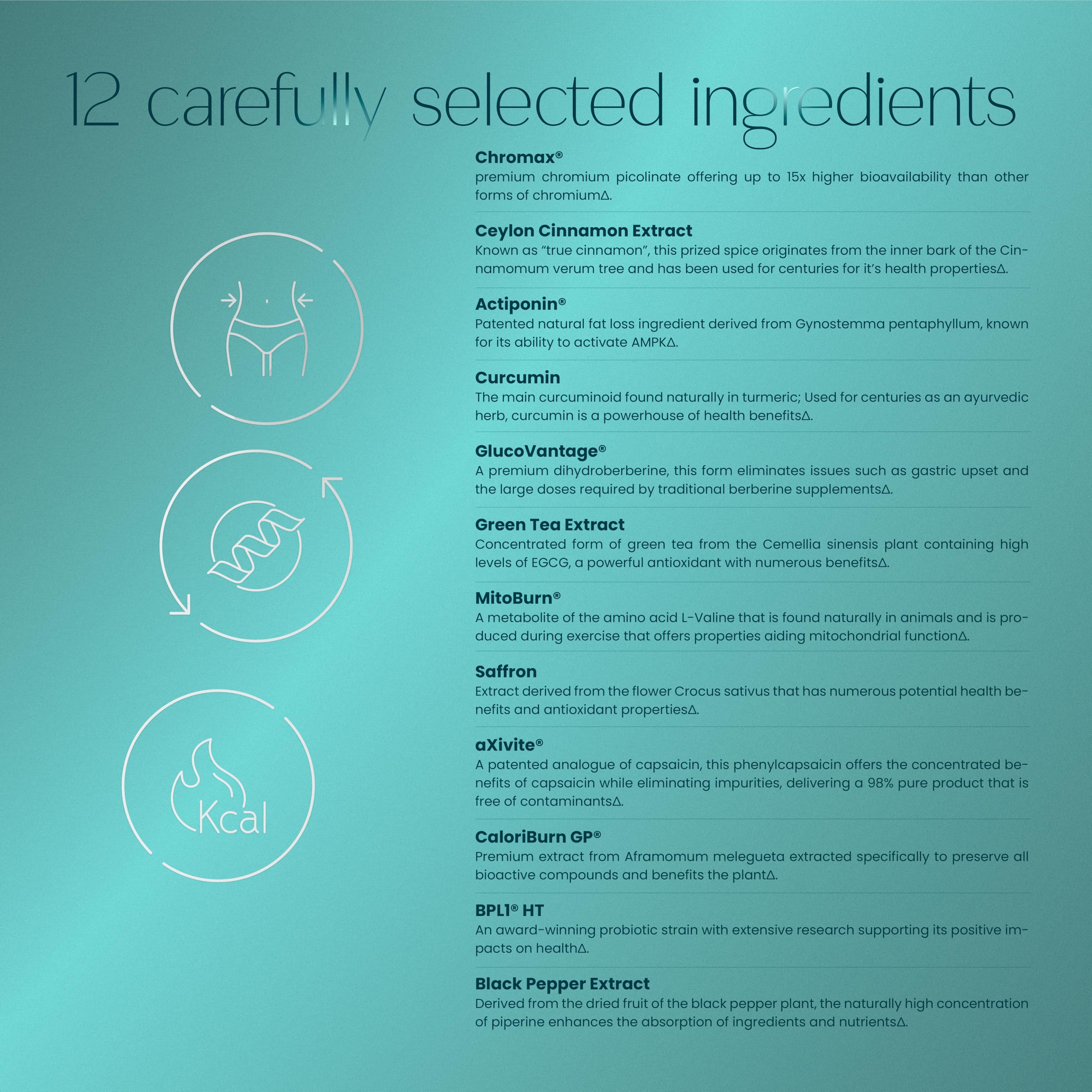 BurnZen ingredients closeup highlights GlucoVantage and MitoBurn for metabolism.