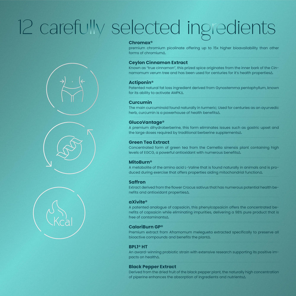 BurnZen ingredients closeup highlights GlucoVantage and MitoBurn for metabolism.