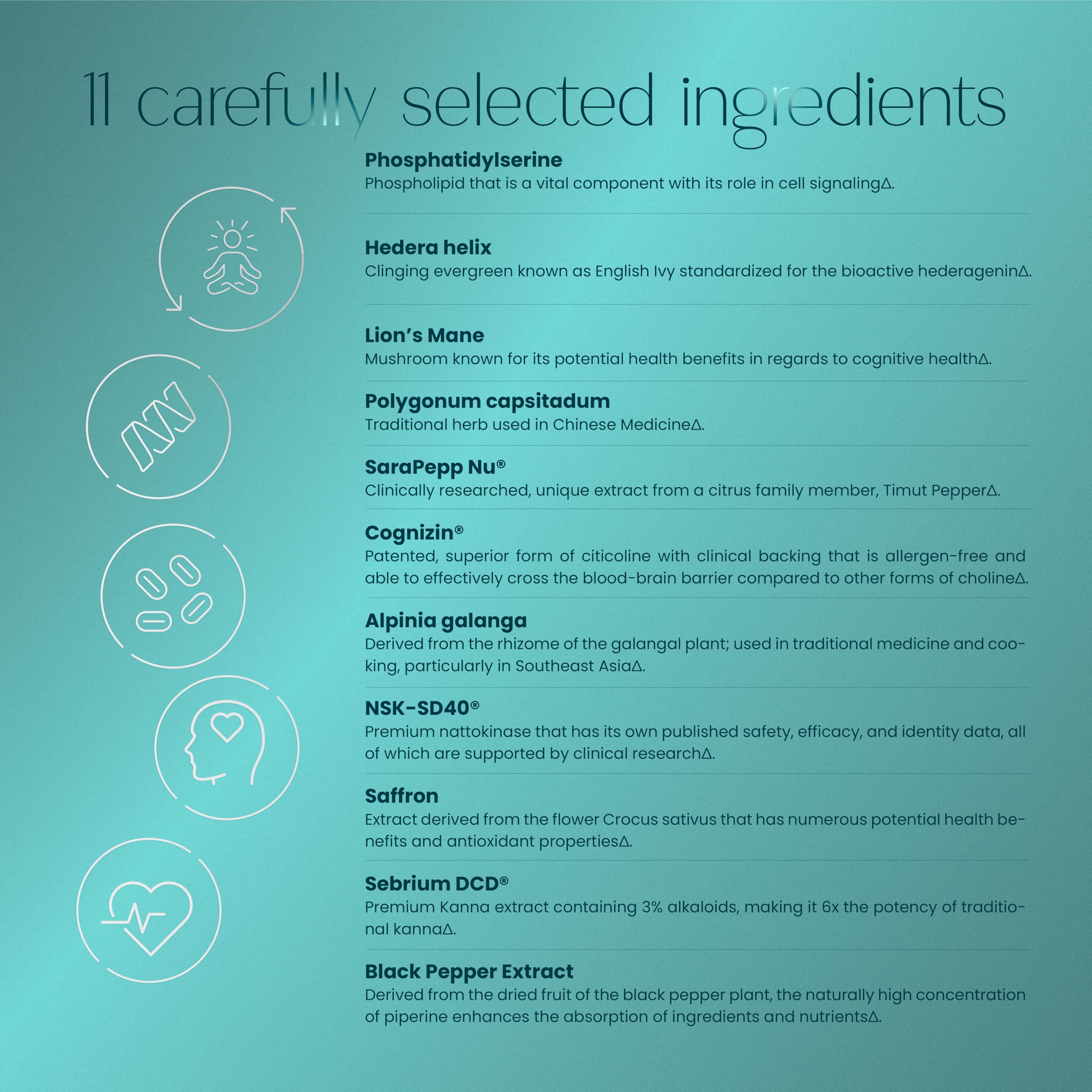 MoodZen Lion's Mane extract visual signaling nerve health support.
