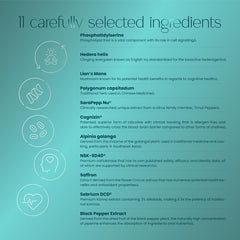 MoodZen Lion's Mane extract visual signaling nerve health support.