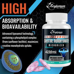 Zeylamum chewable tablet held in hand, showing easy, mess-free intake.