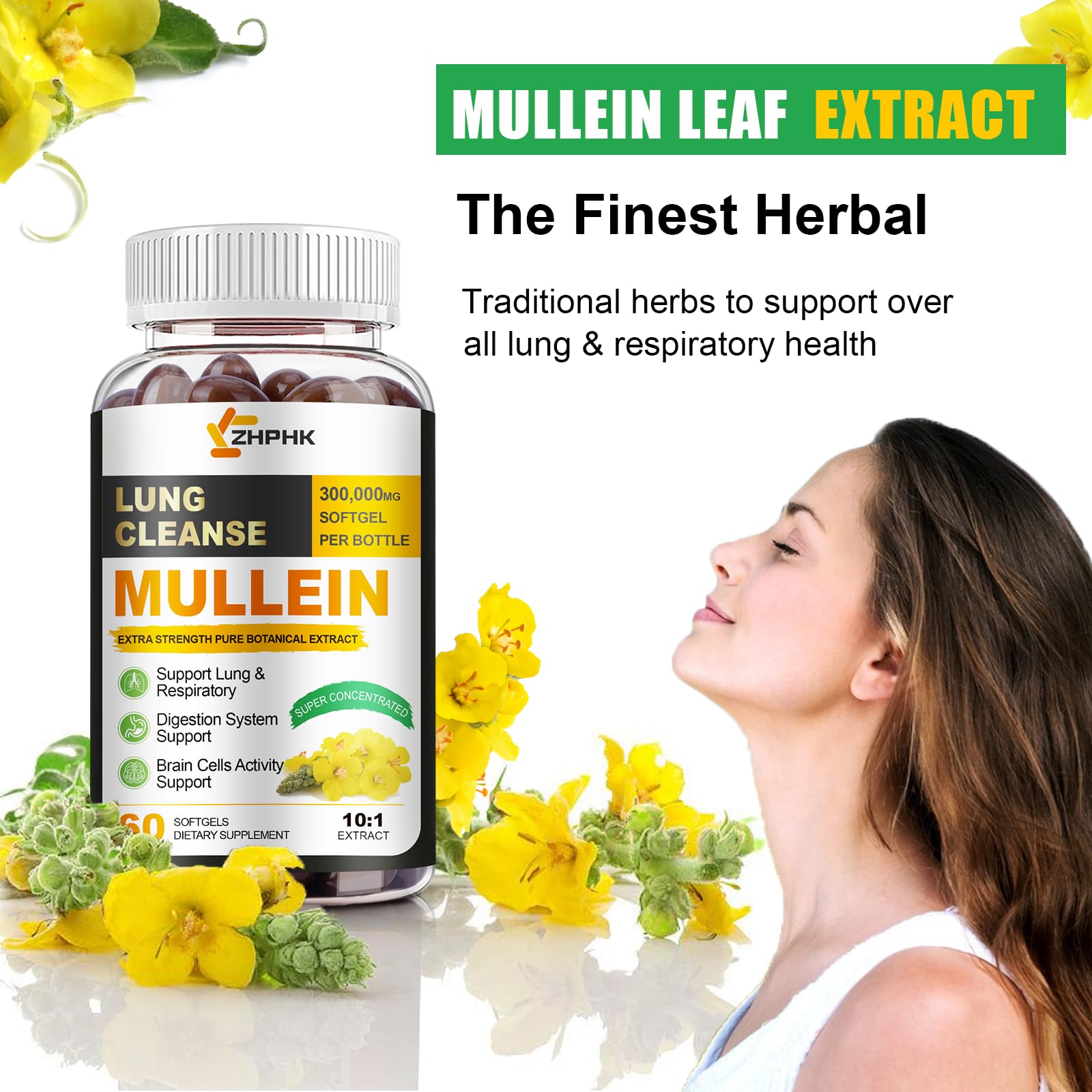ZHPHK mullein leaf extract capsules promote comfortable breathing and respiratory wellness.