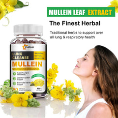 ZHPHK mullein leaf extract capsules promote comfortable breathing and respiratory wellness.
