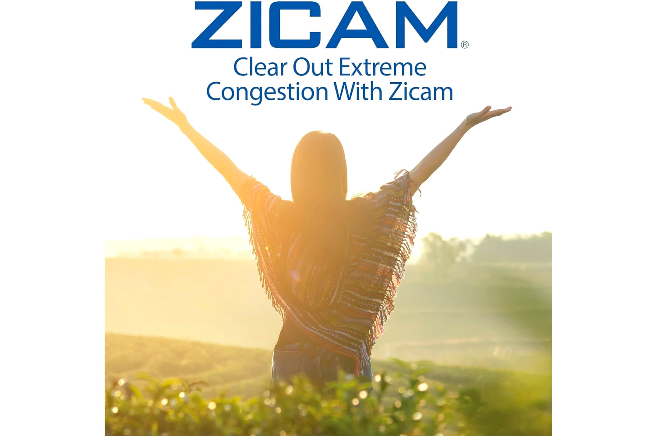 Zicam nasal spray beside tissues during allergy season