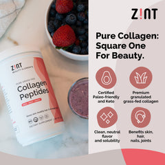 Zint Pure Grass-Fed Collagen Peptides dissolving smoothly in hot or cold drinks.
