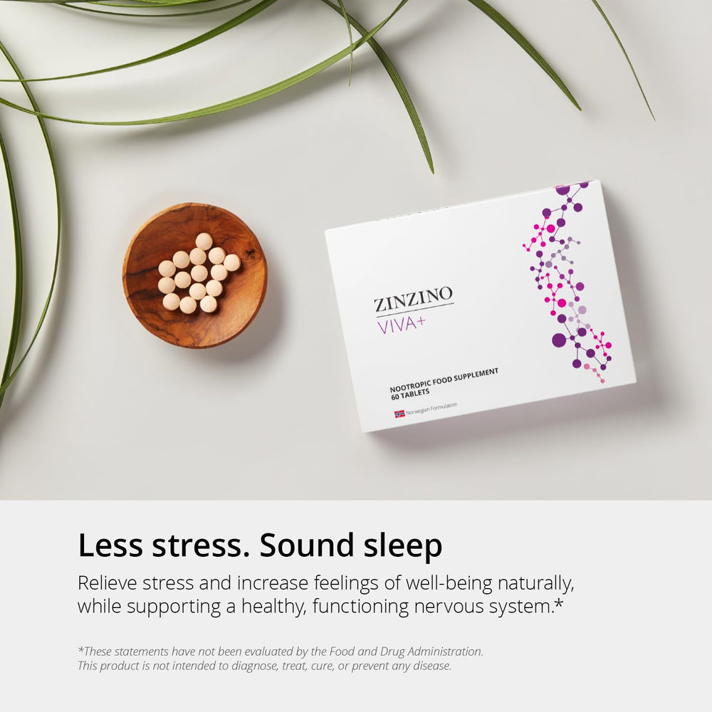 ZINZINO Viva+ study-focused scene conveys concentration and learning support