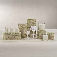 Zodax Grand Casablanca soft glow creates a relaxing mood in living spaces.