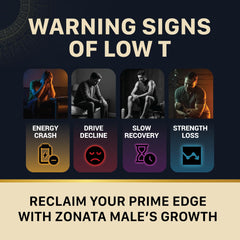 Zonata Males premium ingredients visual underscoring careful formulation for men.