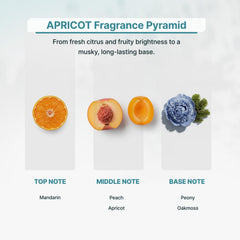 Zone Scent Apricot diffuser car diffuser provides portable wellness on the go.