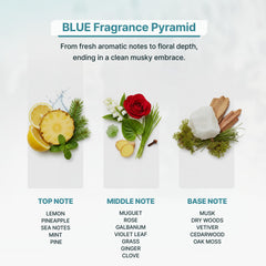 Zone Scent Blue Luxury oil diffuser setup suitable for energizing rooms.