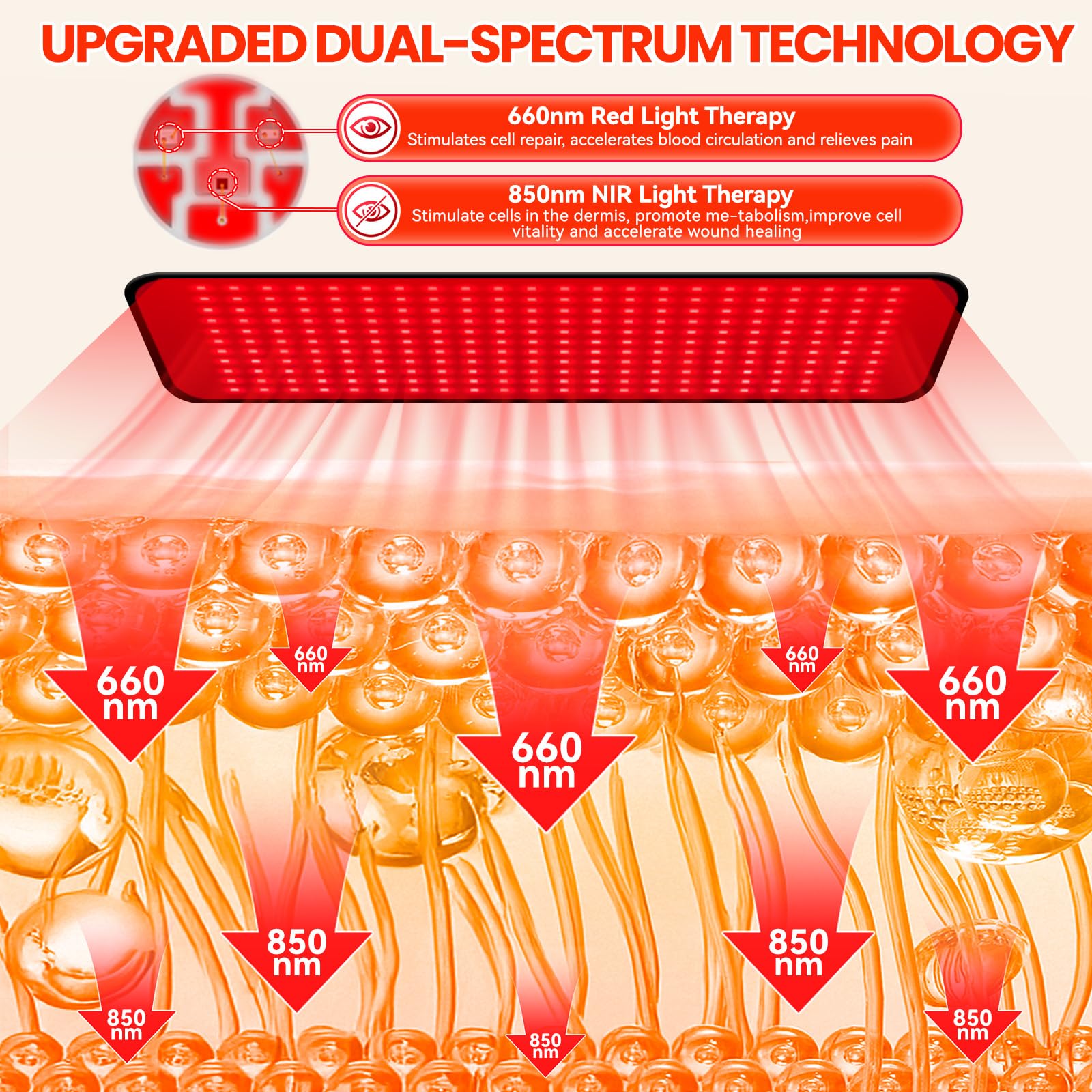 ZonGym red light therapy pad abdomen use enables midsection relief sessions