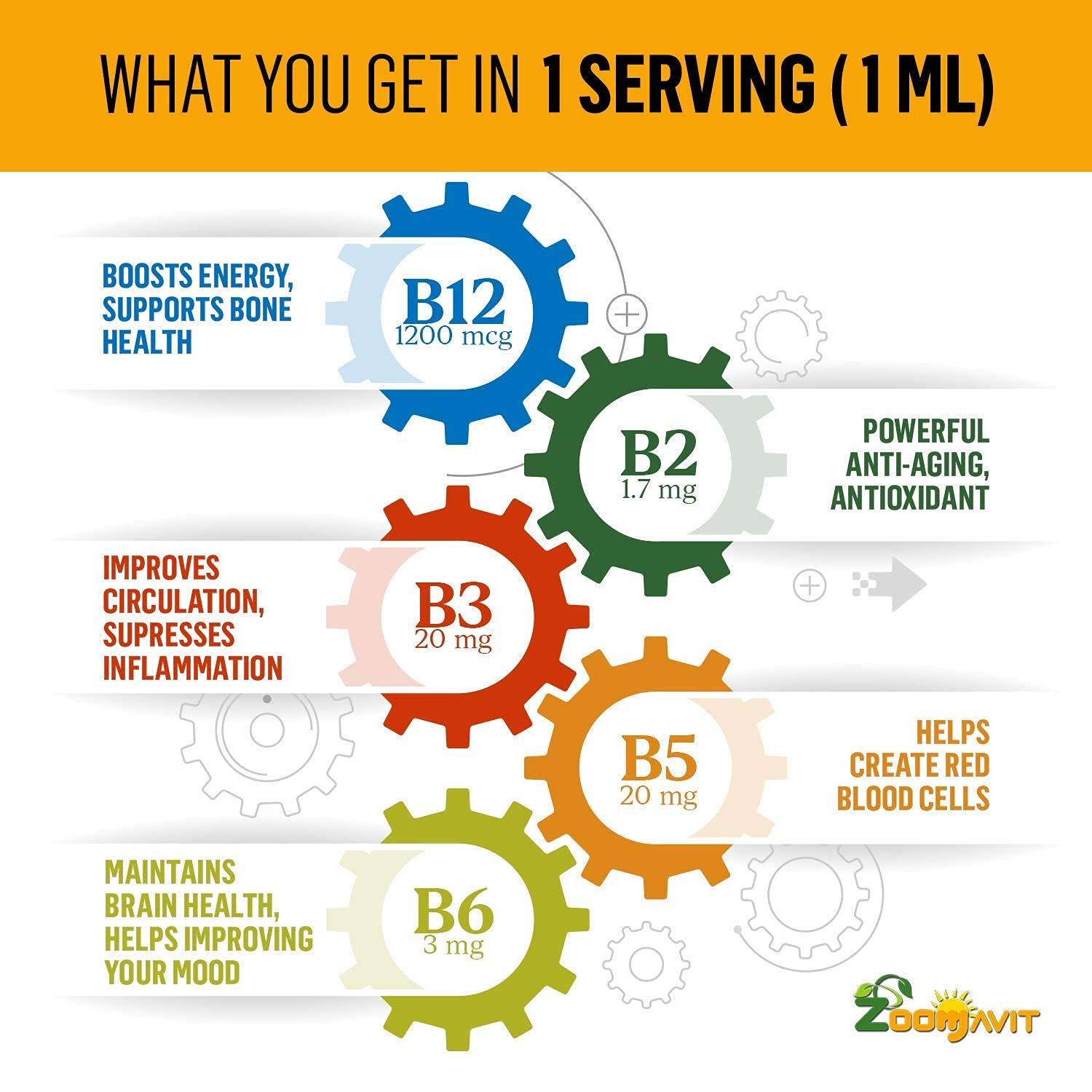 Zoomavit B12 dropper in hand ready to administer energy support.