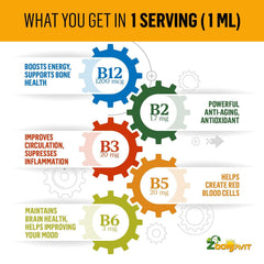 Zoomavit B12 dropper in hand ready to administer energy support.