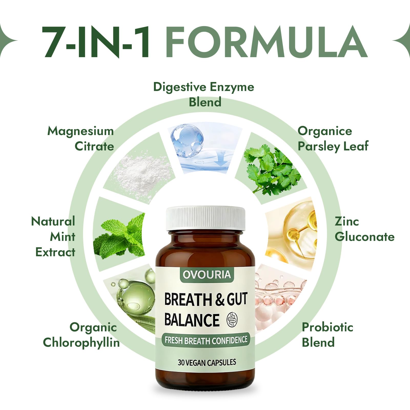 ZPX Ovouria chlorophyllin and parsley focus supports odor-neutralizing benefits.